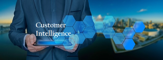 Customer-Intelligence-1